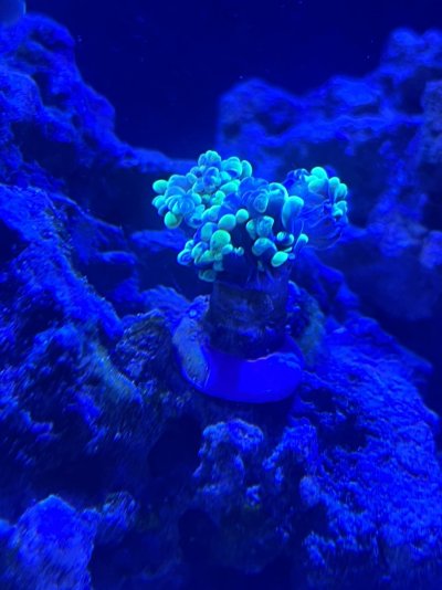 IMG_2860.jpeg IMG_2860.jpeg