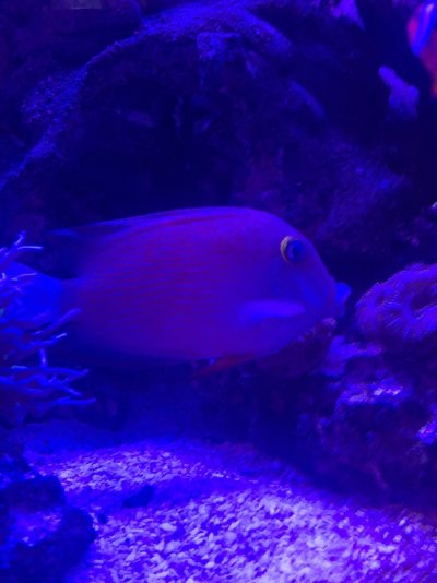 IMG_1499.jpeg IMG_1499.jpeg