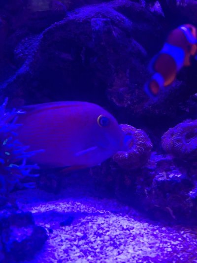 IMG_1498.jpeg IMG_1498.jpeg