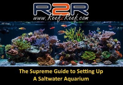 Building Rock Structures  REEF2REEF Saltwater and Reef Aquarium Forum