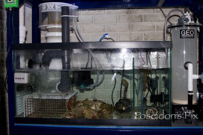 SUMPS - The Rundown