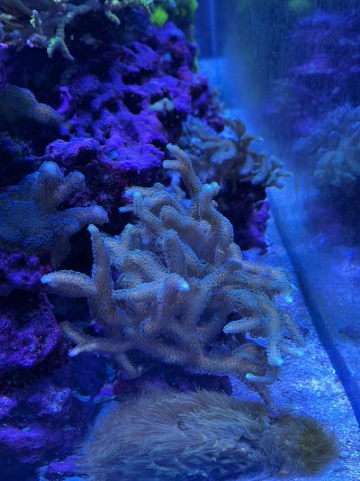 IMG_3603.jpeg IMG_3603.jpeg