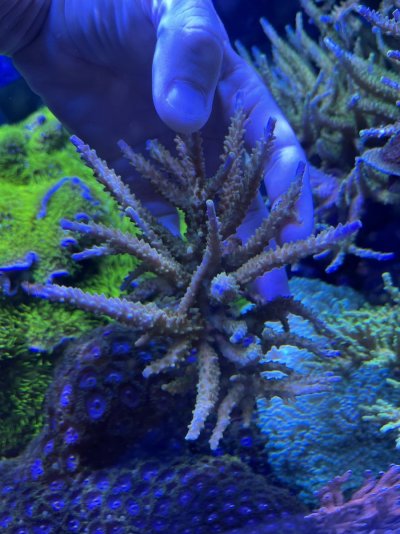 IMG_3606.jpeg IMG_3606.jpeg