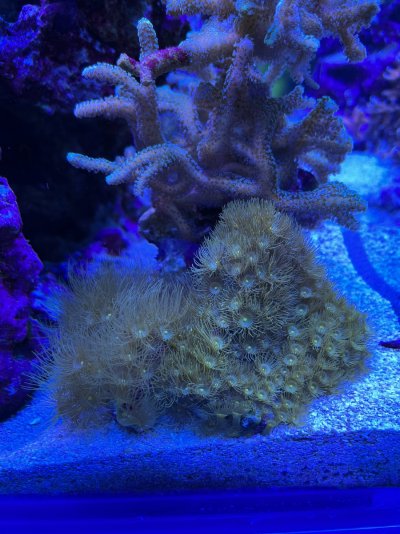 IMG_3609.jpeg IMG_3609.jpeg