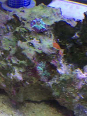 IMG_4675.jpg