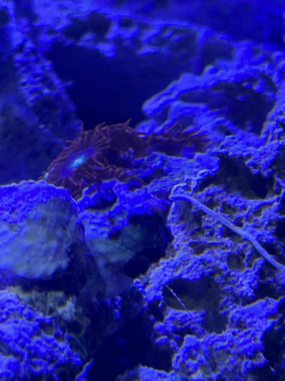 IMG_5805.jpeg