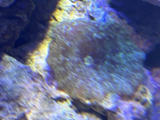 IMG_6044.jpeg