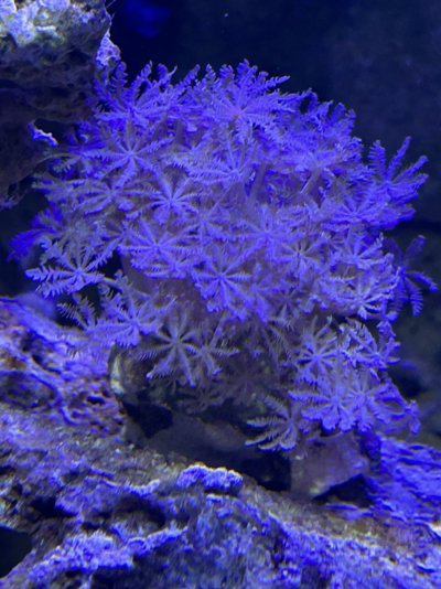 IMG_6039.jpeg