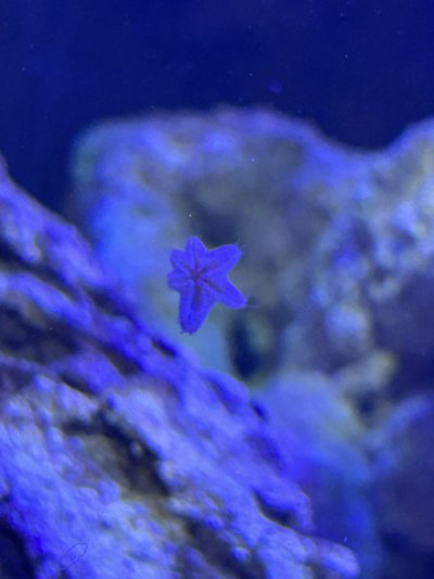 IMG_5952.jpeg