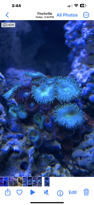 IMG_6104.png