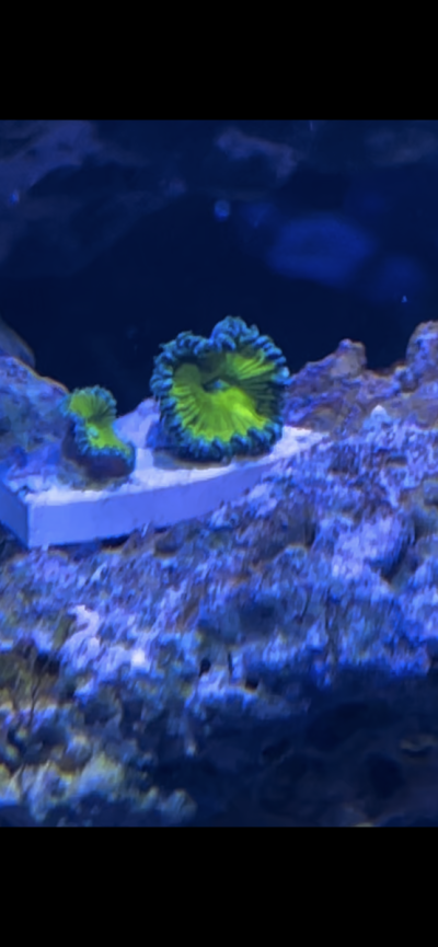 IMG_6122.png