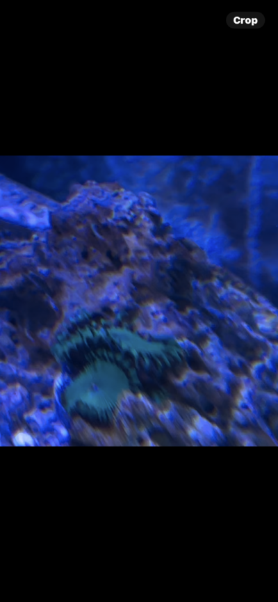 IMG_6120.png