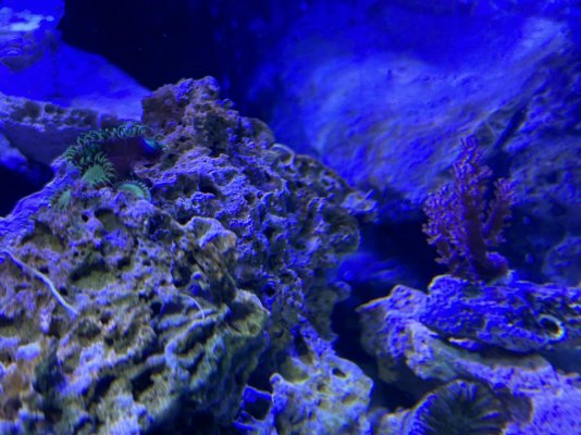 IMG_6127.jpeg