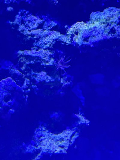 IMG_6154.jpeg