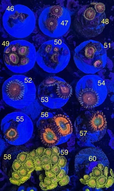 8DCCC1B8-739C-48D9-AFED-B88A695521BF_1_201_a.jpeg 8DCCC1B8-739C-48D9-AFED-B88A695521BF_1_201_a.jpeg