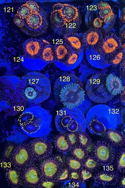 50537705-0F26-44B4-9E97-E24AAAE01C83_1_201_a.jpeg 50537705-0F26-44B4-9E97-E24AAAE01C83_1_201_a.jpeg