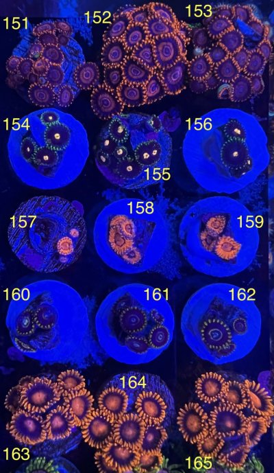 B54B5755-E431-493A-82D3-221D54F467CD_1_201_a.jpeg B54B5755-E431-493A-82D3-221D54F467CD_1_201_a.jpeg