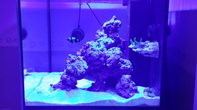 20161110_202622_Richtone(HDR).jpg