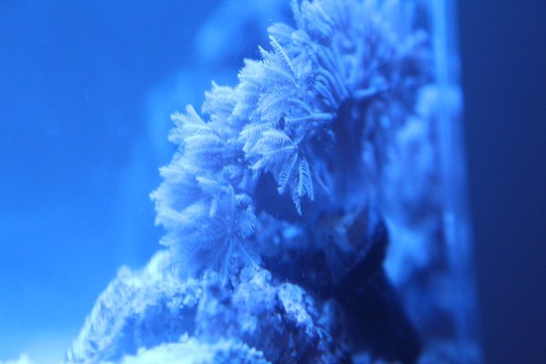 IMG_0229.jpeg