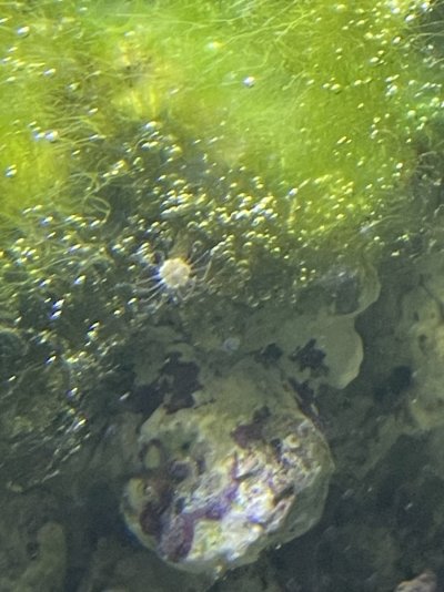 IMG_6655.jpeg