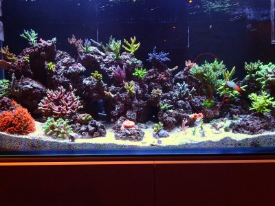 aefw fts.jpg
