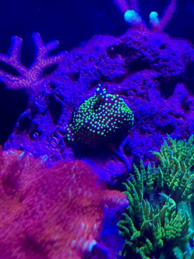 IMG_3793.jpeg IMG_3793.jpeg