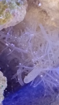 IMG_20161125_174714860.jpg