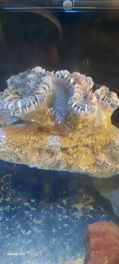 20241111_092937.jpg