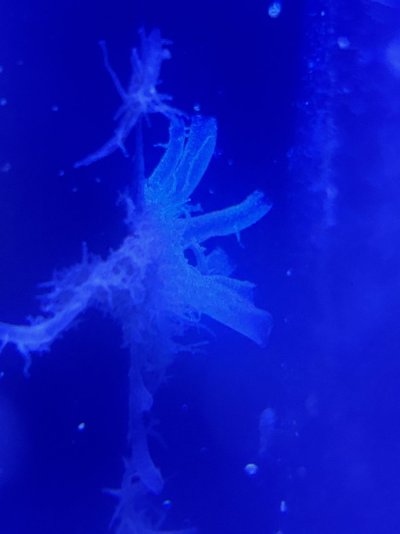 IMG_0964.jpeg