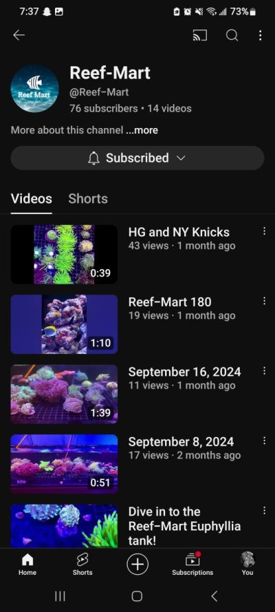 Screenshot_20241115_193728_YouTube.jpg