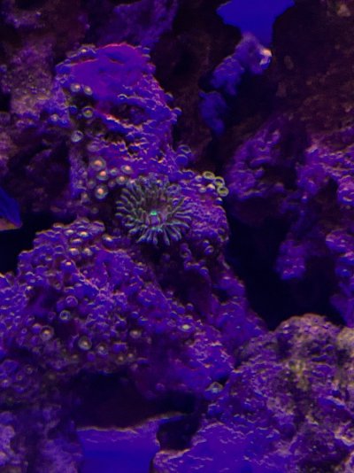 IMG_7489.jpeg
