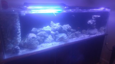 1205161724.jpg