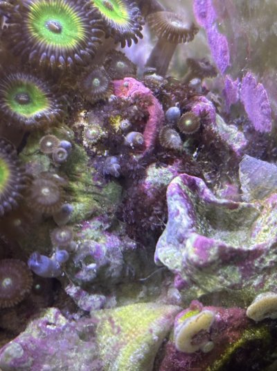 IMG_4448.jpeg