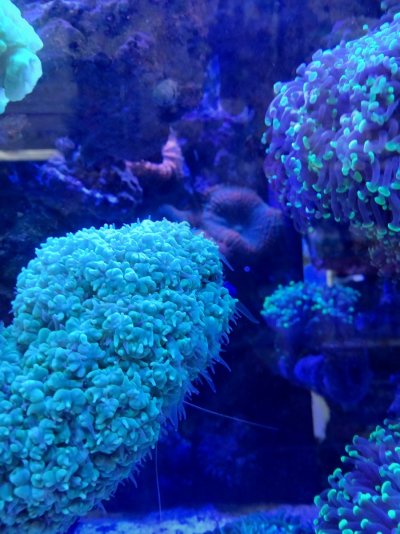 20250104_191344.jpg