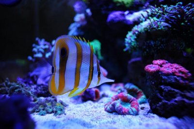IMG_6287.JPG
