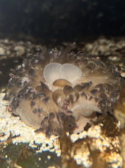 IMG_4315.jpeg