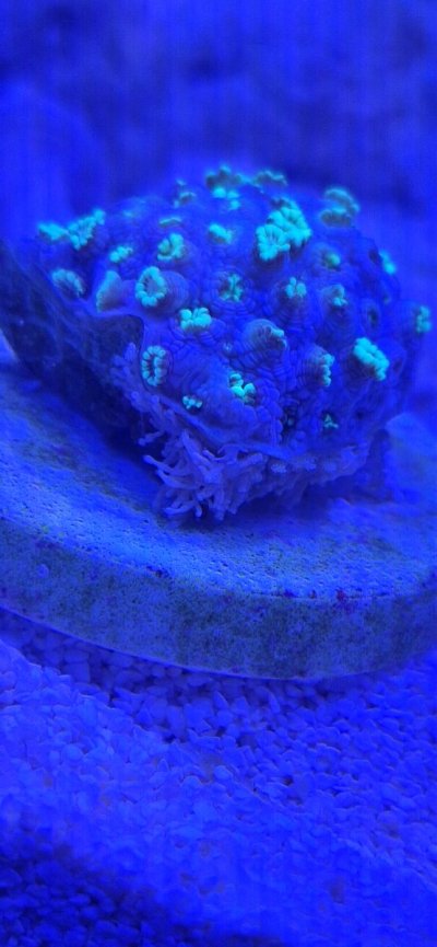 20250116_204517.jpg