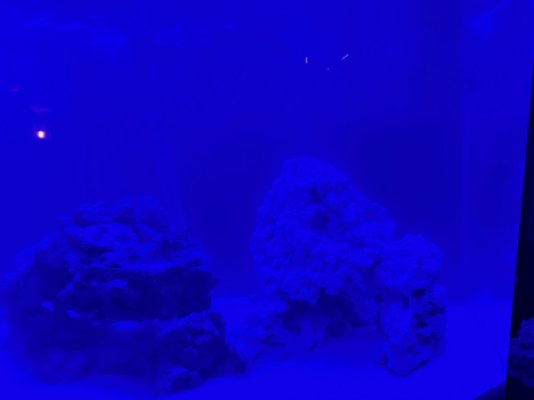 IMG_2552.jpeg