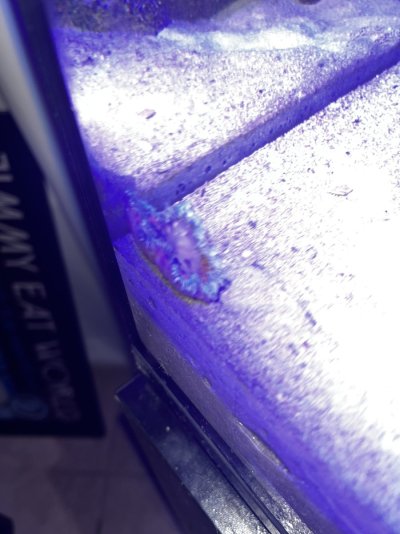 IMG_6423.jpeg