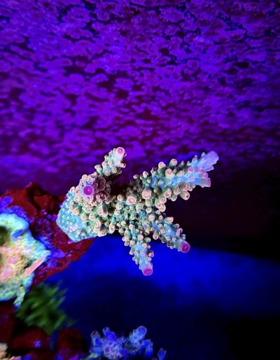 IMG_5041.jpeg