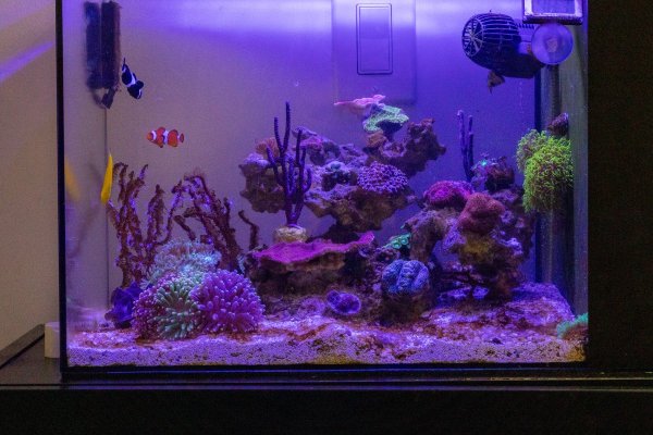 BRIARBAYREEF-6.jpg