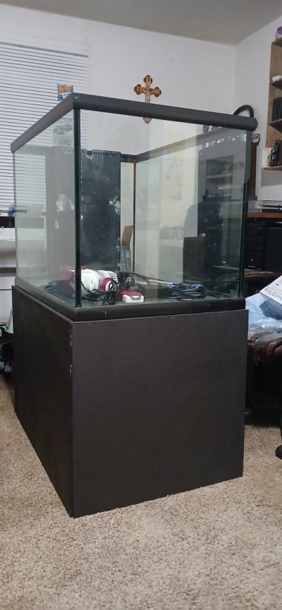 20250126_184528.jpg