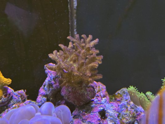 IMG_5400.JPG