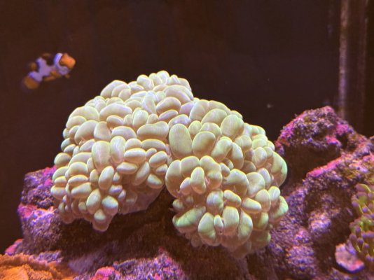 IMG_5406.JPG