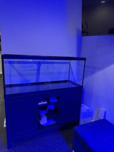 IMG_6945.jpeg