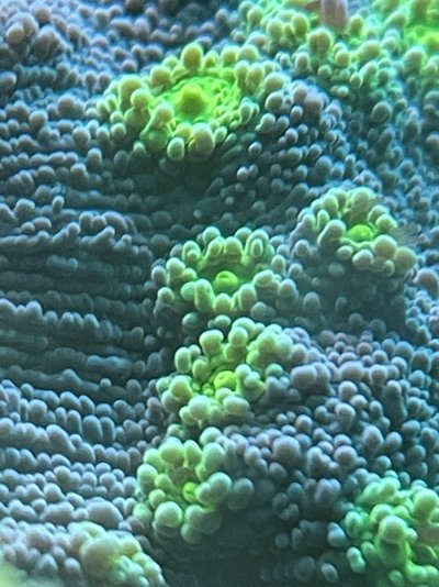 IMG_9568.jpeg