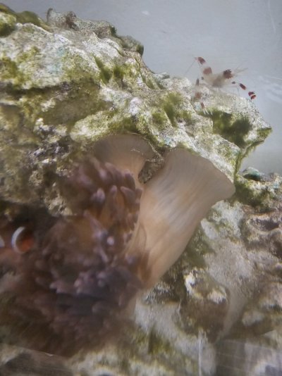 20250206_153144.jpg