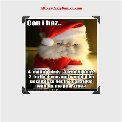 funny-Cat-Christmas-wish-list-meme.png