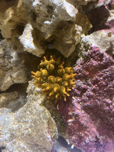 IMG_4843.jpeg