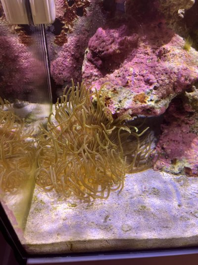 IMG_5518.jpeg IMG_5518.jpeg